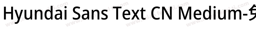 Hyundai Sans Text CN Medium字体转换